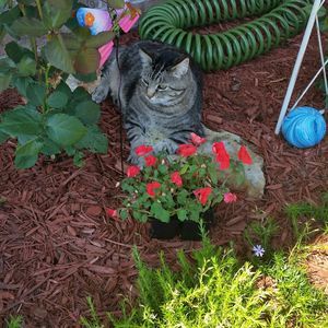 Meet your Posher, Gail