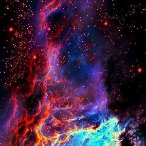 Meet your Posher, Billy