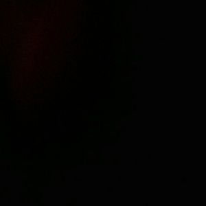 Meet your Posher, Irene