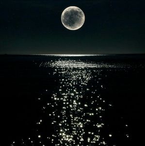 Meet your Posher, Perla