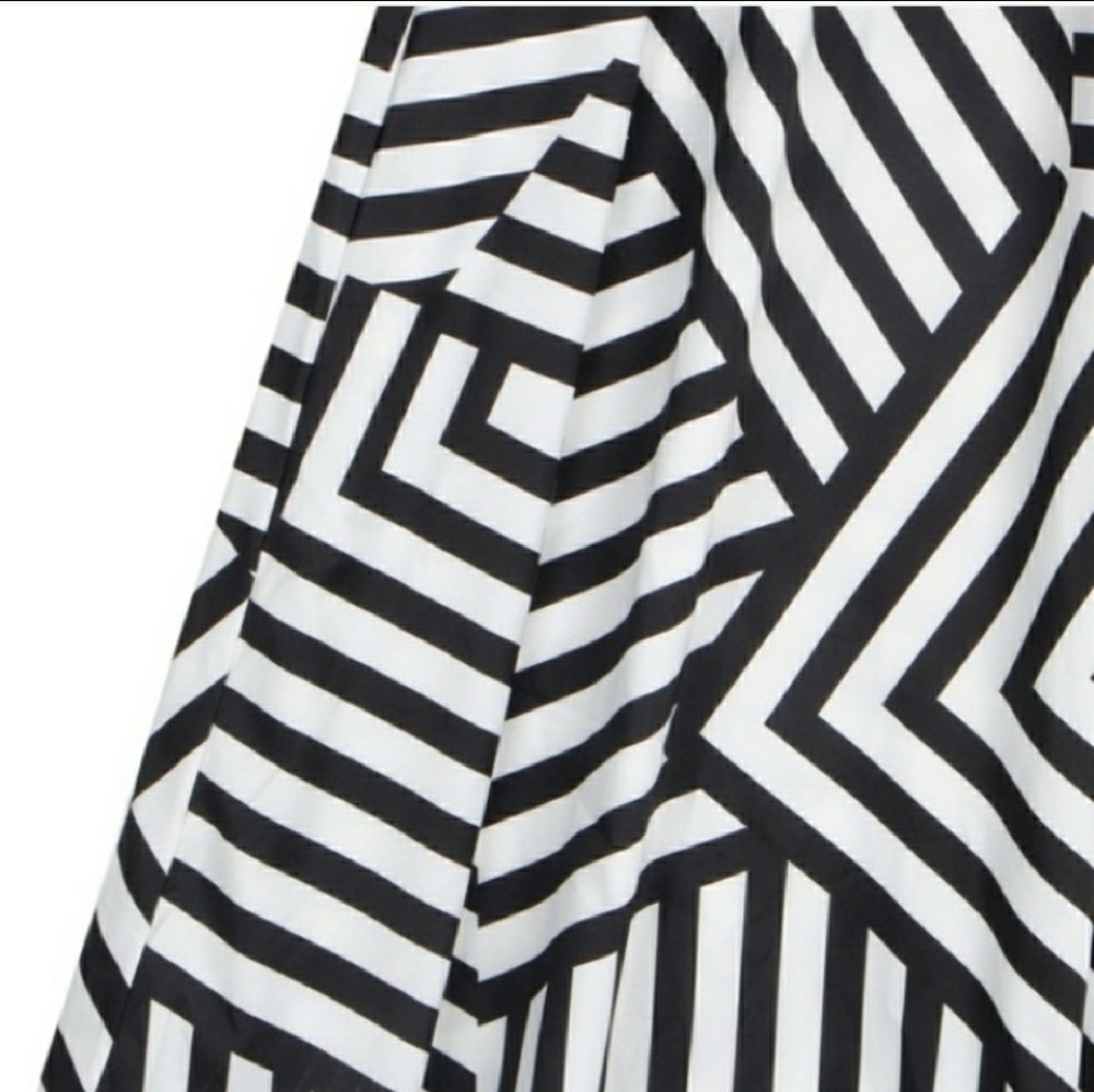 Beautiful Black and White Striped Dress - Picture 3 of 4