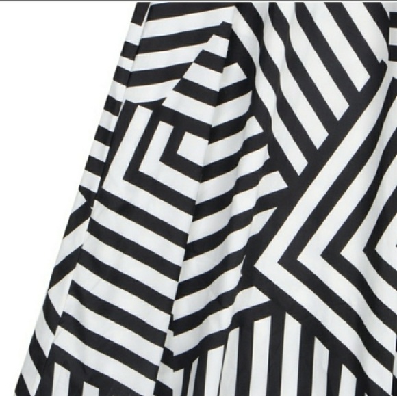 Beautiful Black and White Striped Dress - Picture 3 of 4