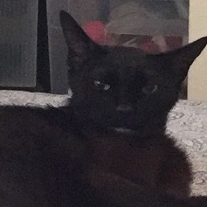 Meet your Posher, Syd