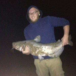 Meet your Posher, Josh