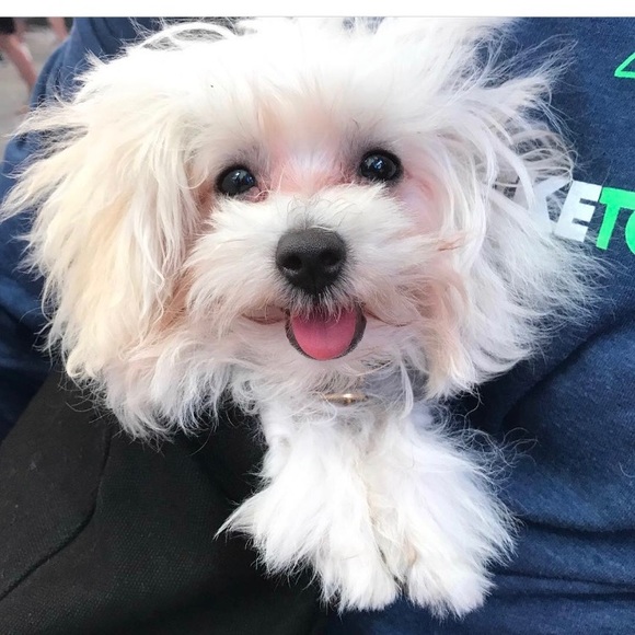 Meet your Posher, Anik - Picture 2 of 4