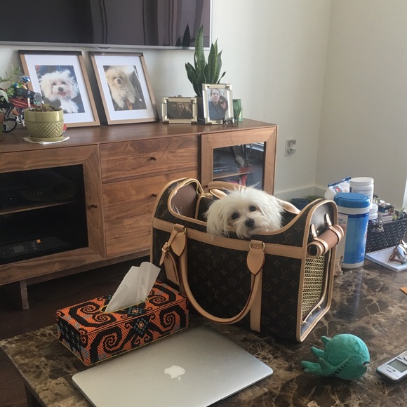 Meet your Posher, Anik - Picture 3 of 4