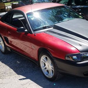 Meet your Posher, Waylon