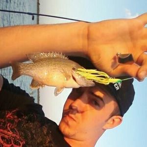 Meet your Posher, Jeff