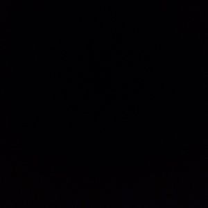 Meet your Posher, Kenny