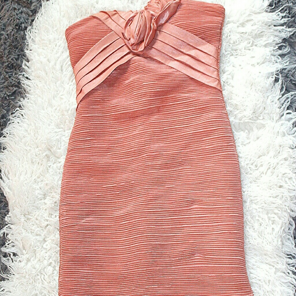 Blush bodycon dress