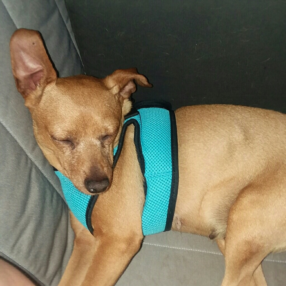 Meet your Posher, Mily