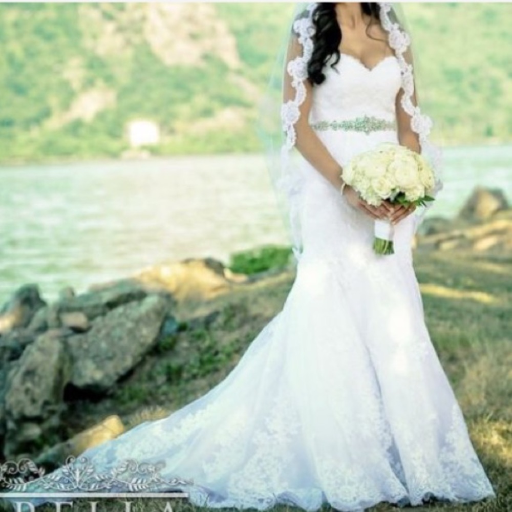 Davids Bridal Wedding Dress size 0P including veil