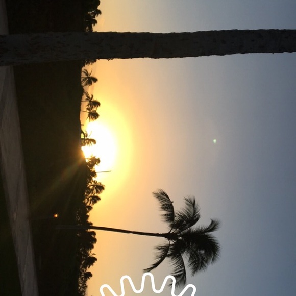 Meet your Posher, Cookie - Picture 1 of 1