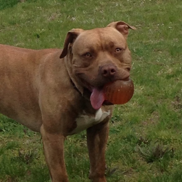 Meet your Posher, Bryan - Picture 7 of 8