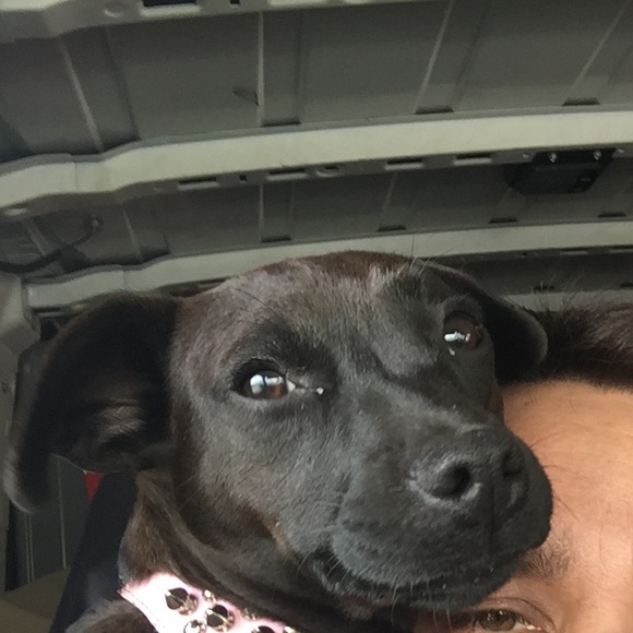 Meet your Posher, Bryan - Picture 8 of 8