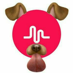 Meet your Posher, Fred