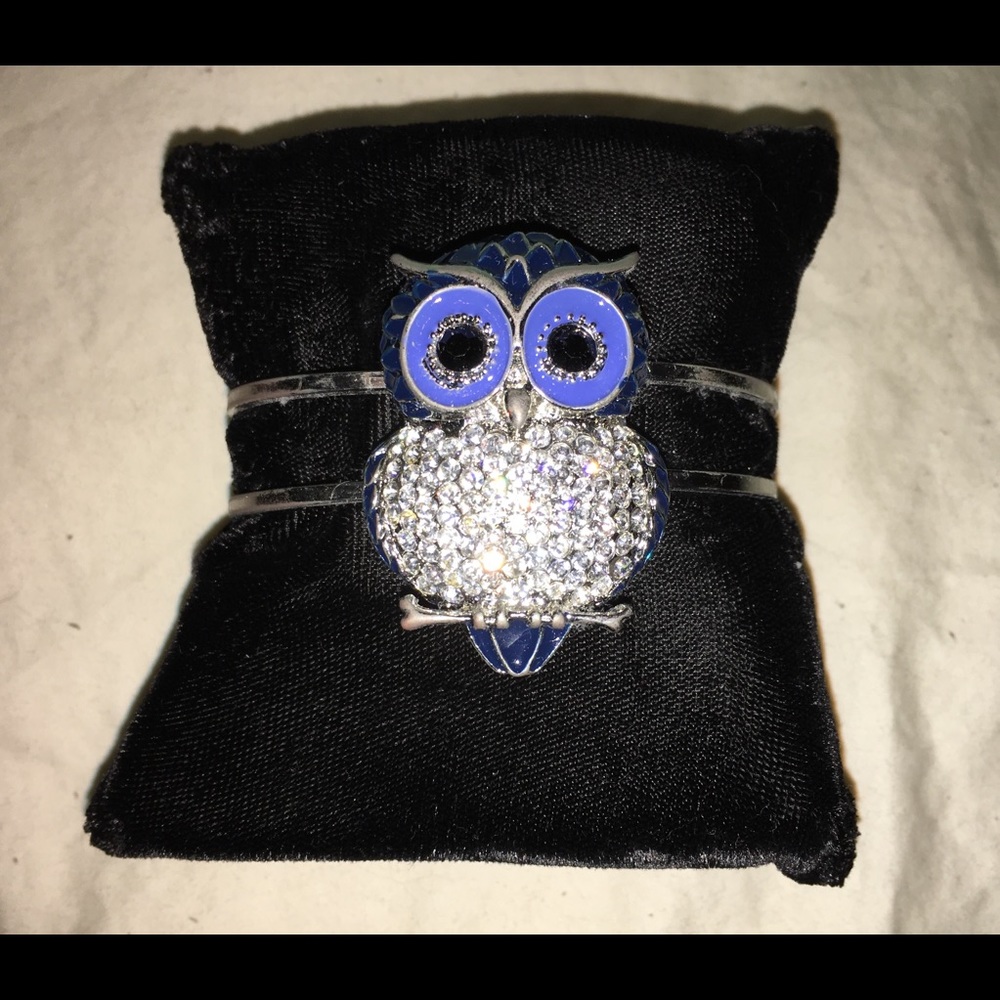 Gorgeous and fun Owl jeweled magnetic close.