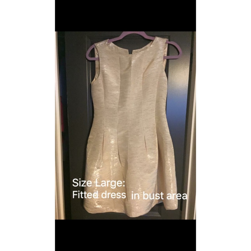 Shimmery Gold Dress