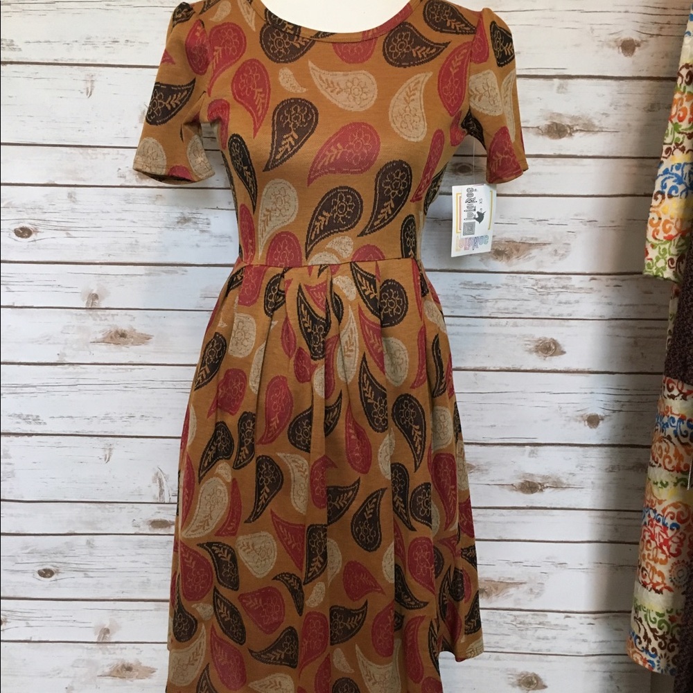 XS LulaRoe Amelia Dress