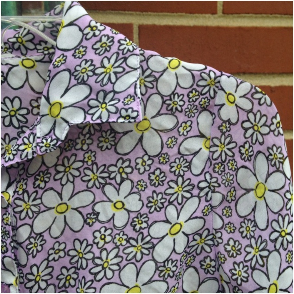 Sweetest daisy crop
