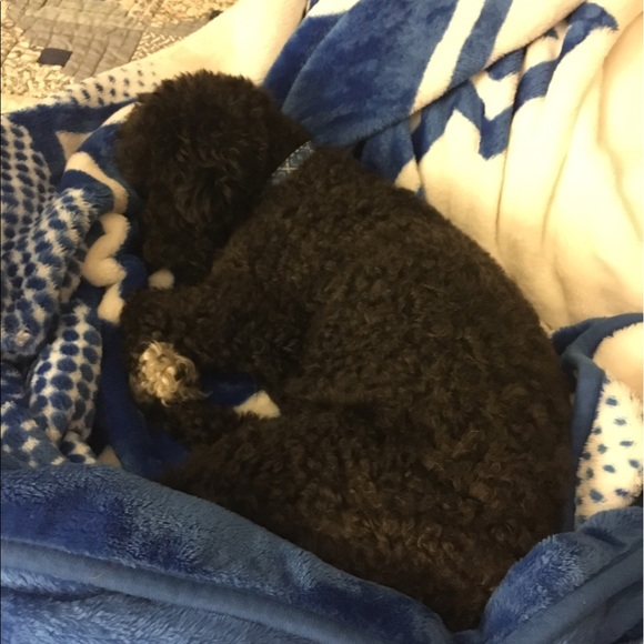 Meet your Posher, Nick - Picture 1 of 1