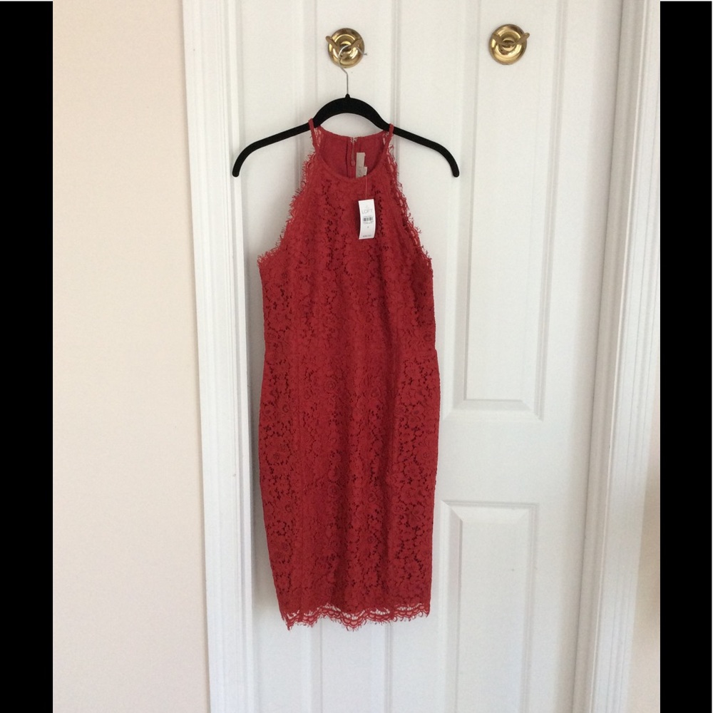 πHPπAnn Taylor Loft halter lace dress π - Picture 4 of 6