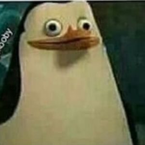 Meet your Posher, Benjy