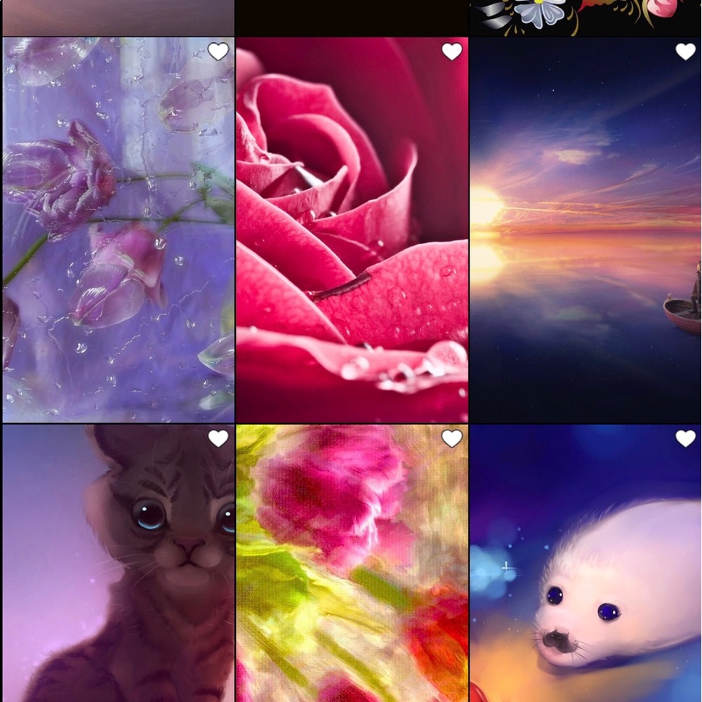 Meet your Posher, Rosie