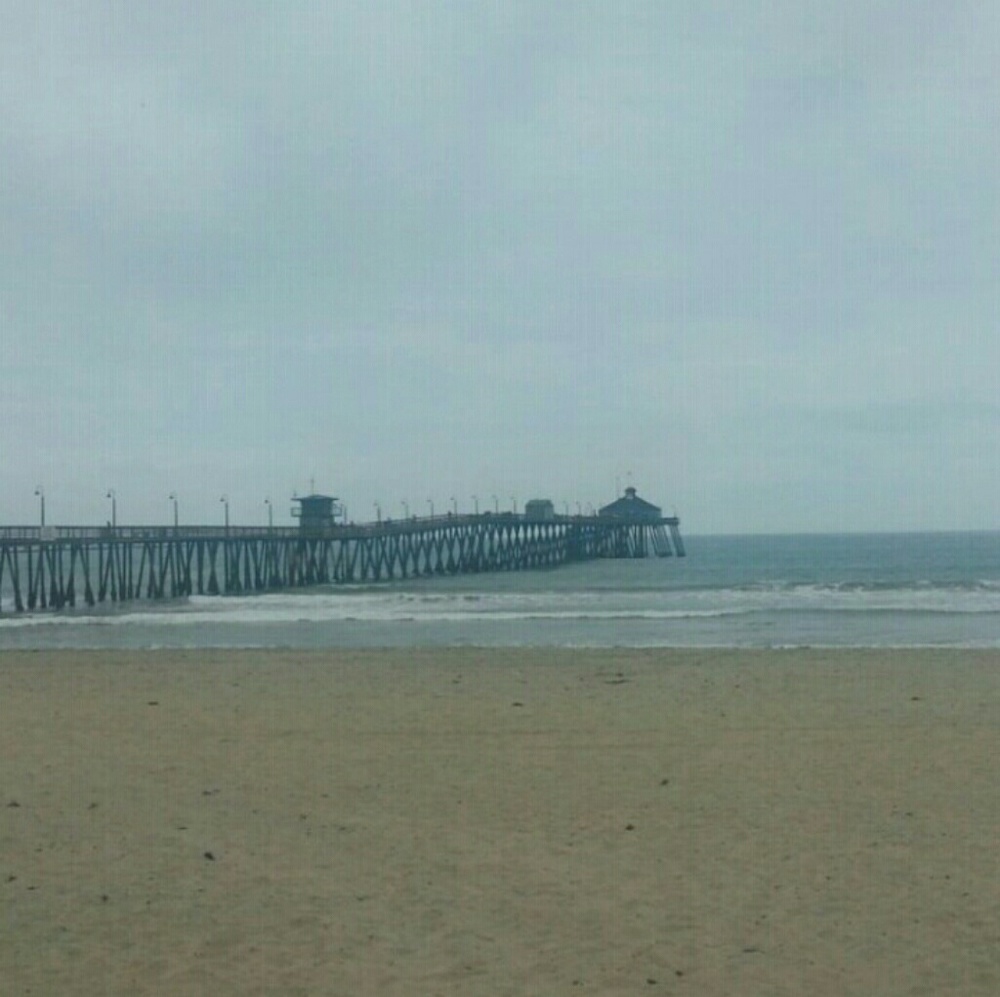 Meet your Posher, Cynthia