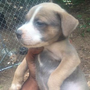 Meet your Posher, Miracle