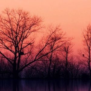 Meet your Posher, Maya