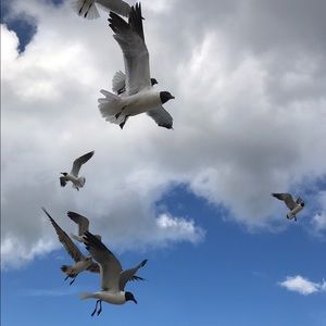 Meet your Posher, Karri