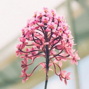 Meet your Posher, Breanna