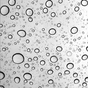 Meet your Posher, Brielle