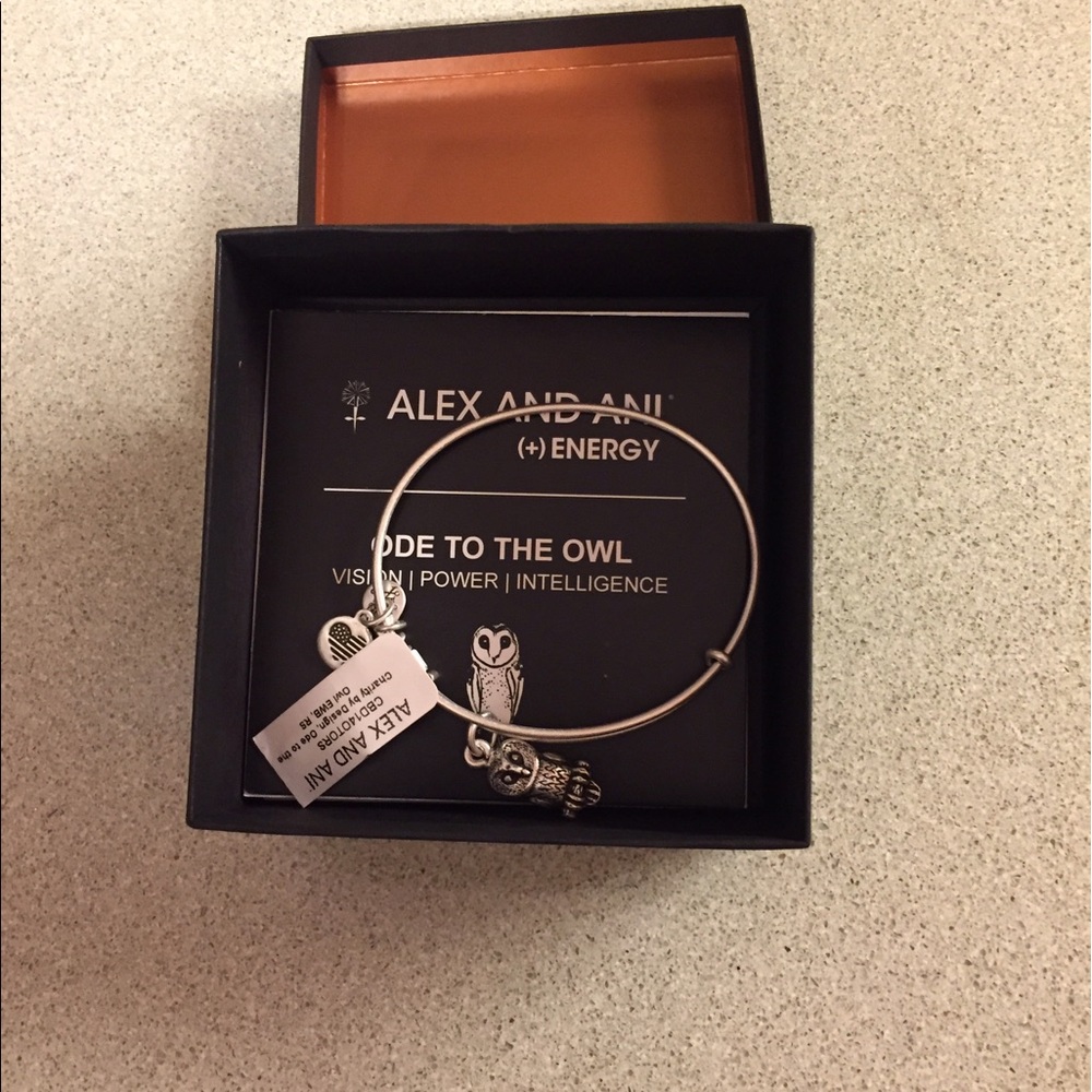 Alex and Ani bracelet
