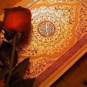 Meet your Posher, Najmah