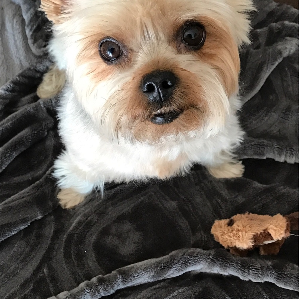 Meet your Posher, Connie