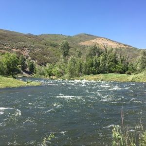 Meet your Posher, Ella