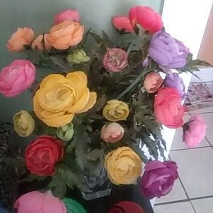 Meet your Posher, Diana