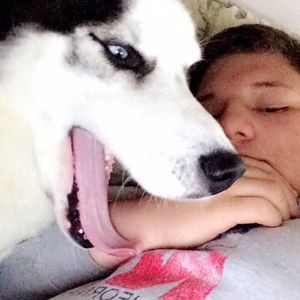 Meet your Posher, Landon