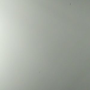 Meet your Posher, Sonja