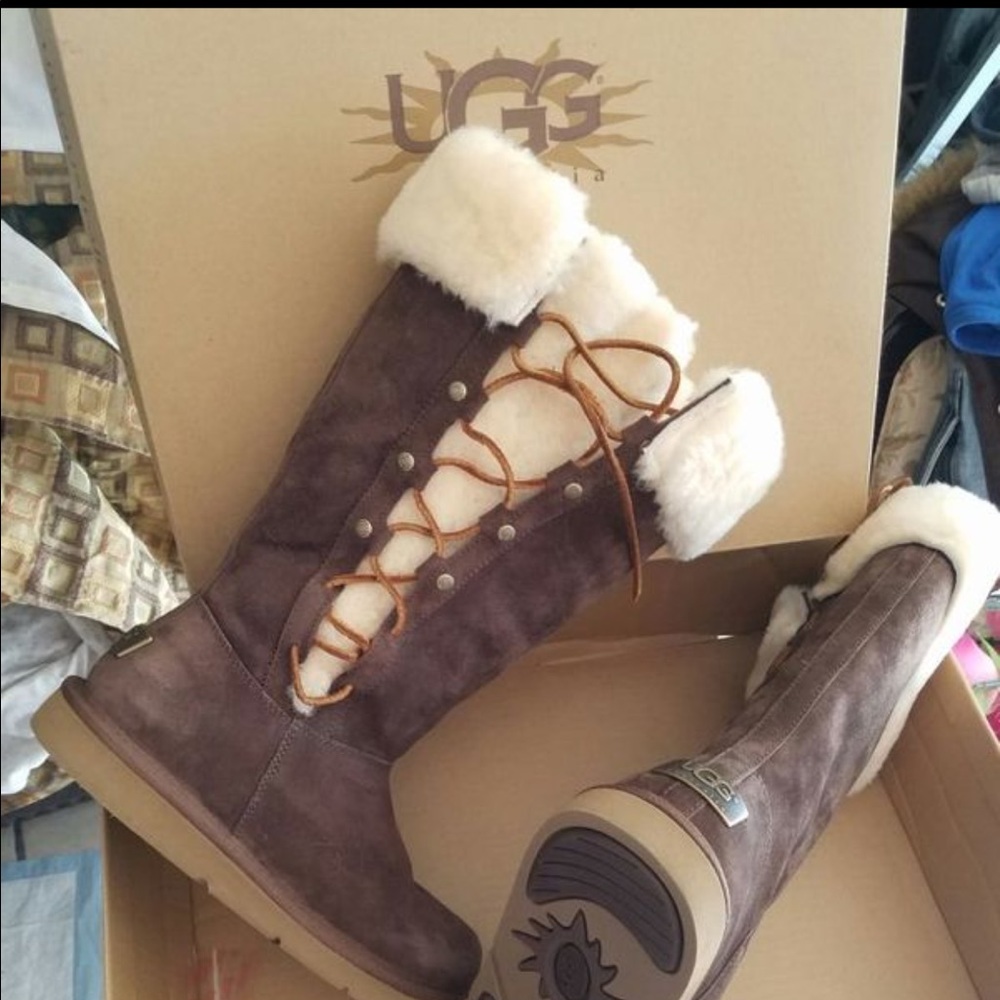 Uggs Upside expresso boots