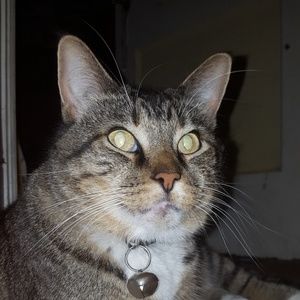 Meet your Posher, Antonio