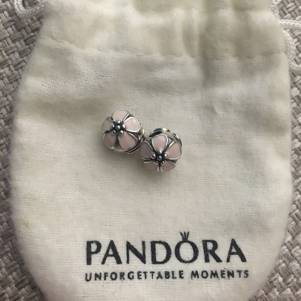 TWO Pink "CHERRY BLOSSOM" Enamel Clip Beads