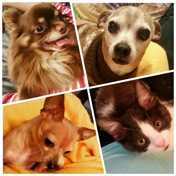 Meet your Posher, Alyssa - Picture 6 of 6