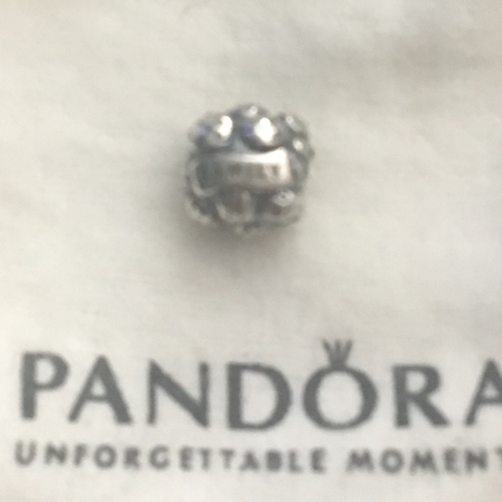 Pandora family and love charm
