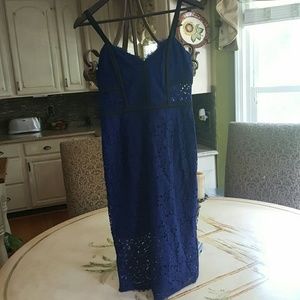Express Lace cocktail dress