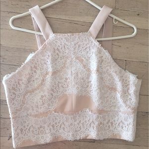 Endless Rose crop top