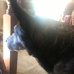 Meet your Posher, Zachary