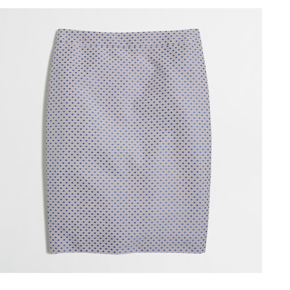 JCrew Polka Dot Skirt